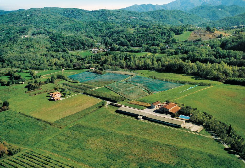Agriturismo La Praduscella 피비쟈노 외부 사진