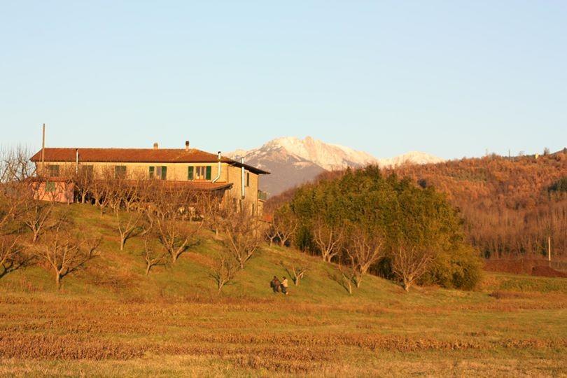Agriturismo La Praduscella 피비쟈노 외부 사진