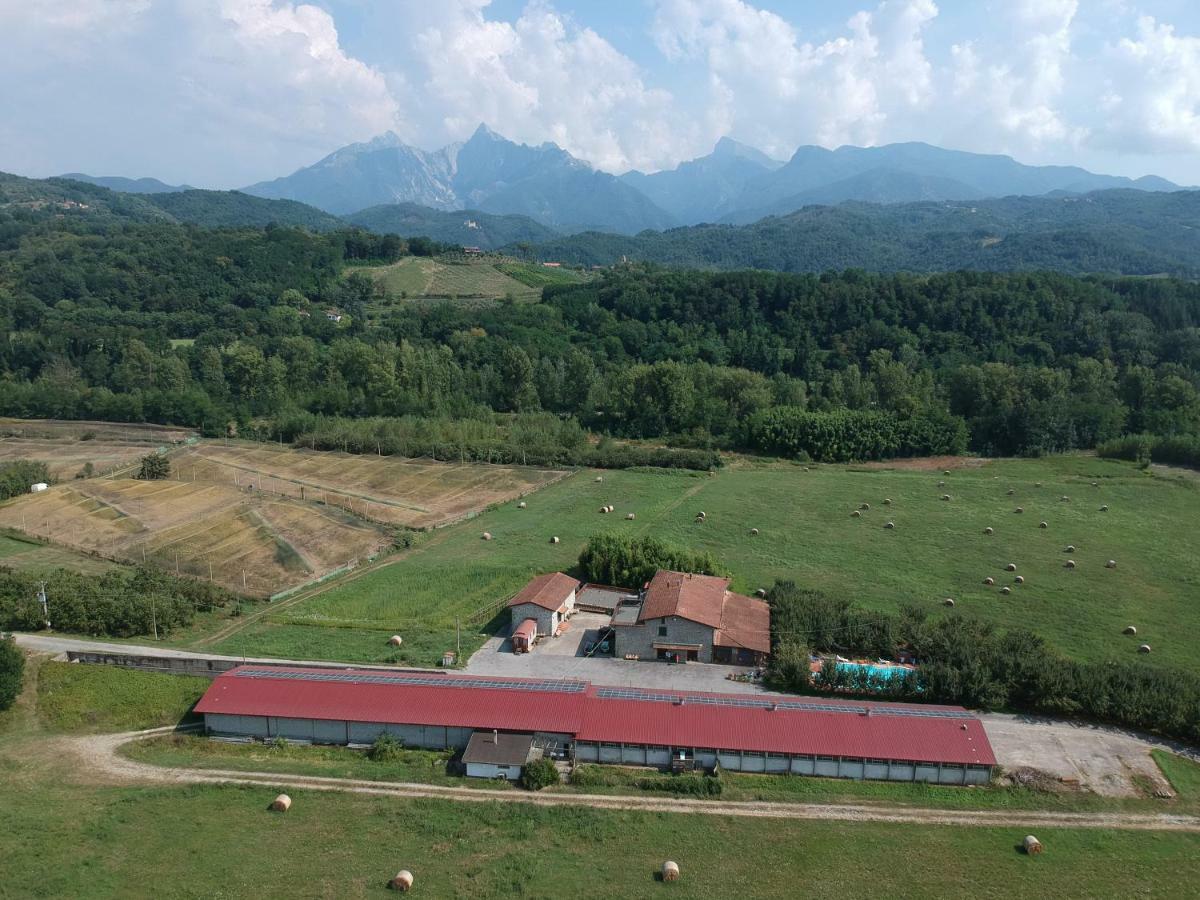 Agriturismo La Praduscella 피비쟈노 외부 사진